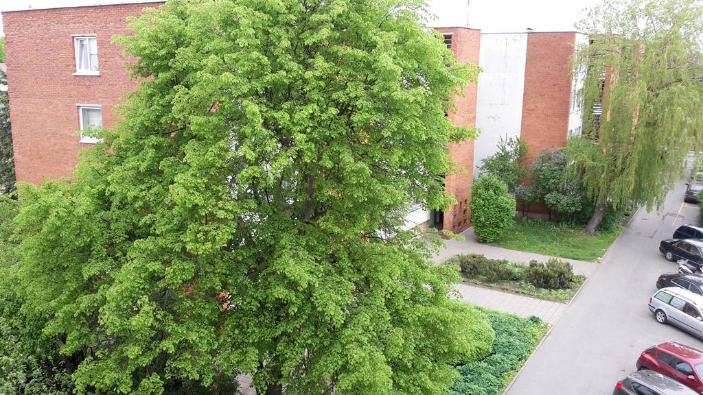 Apartment Amber Sky Palanga Exterior photo